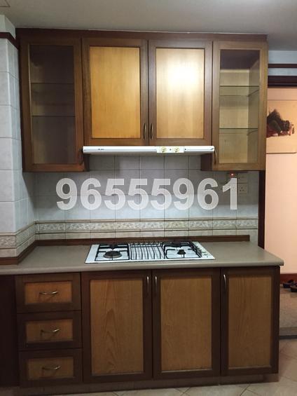 Parc Vista (D22), Condominium #66110032